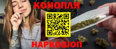 apvp Кингисепп