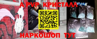 apvp Кингисепп