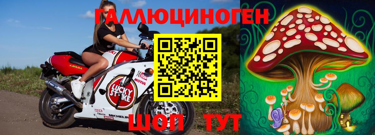 Псилоцибиновые грибы Psilocybine cubensis Химки